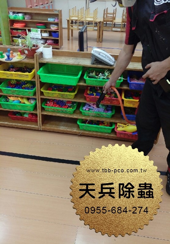 幼兒園消毒作業-天兵除白蟻滅白蟻殺白蟻除蟲公司台北台中 010